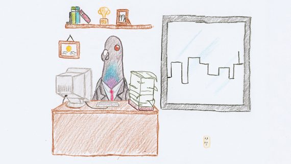 Pigeon Businessman Pigeon Businessman
